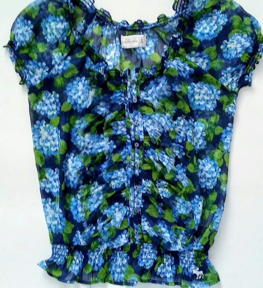 Abercrombie & fitch sheer top (med)